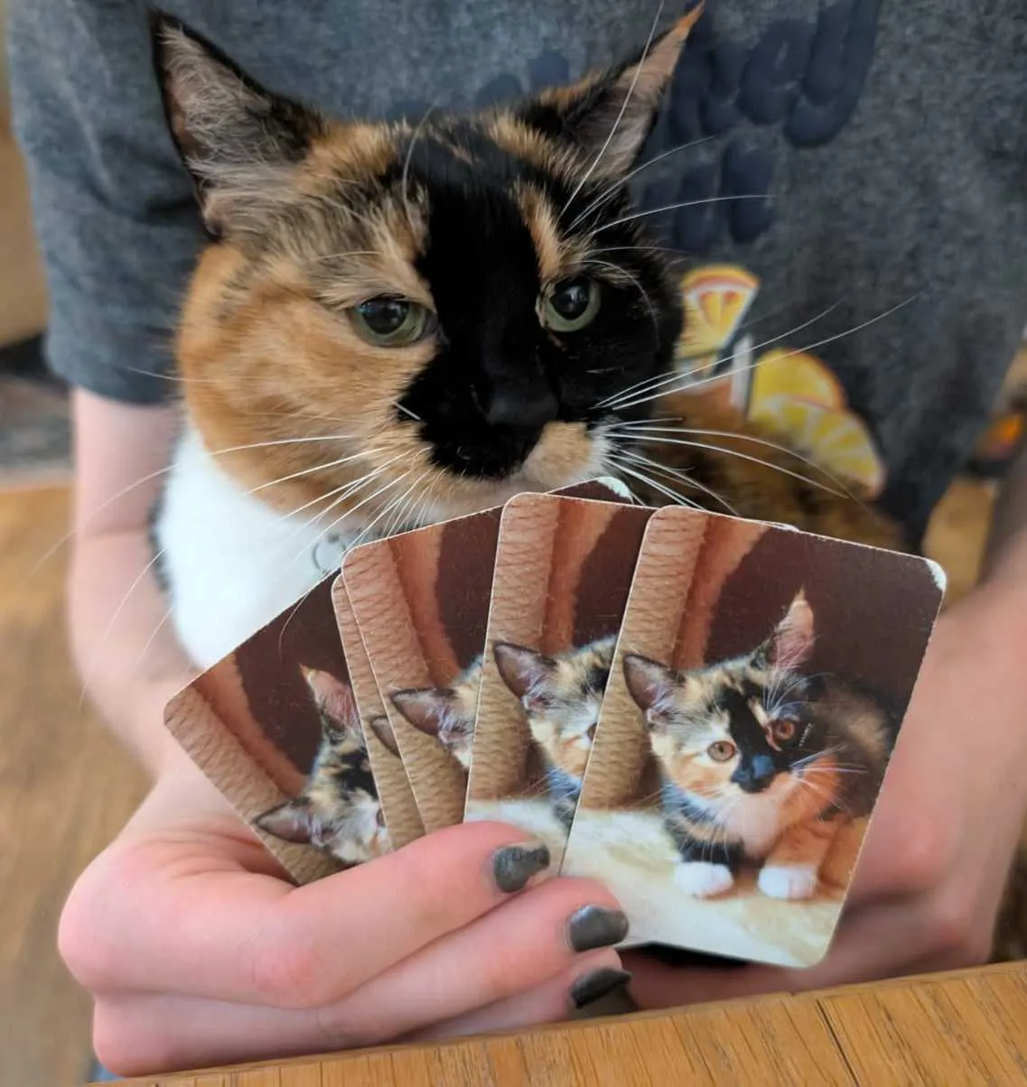 gronkulus@app.wafrn.net