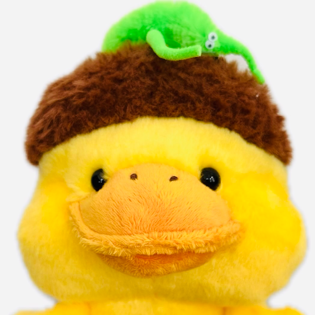 acornDuck