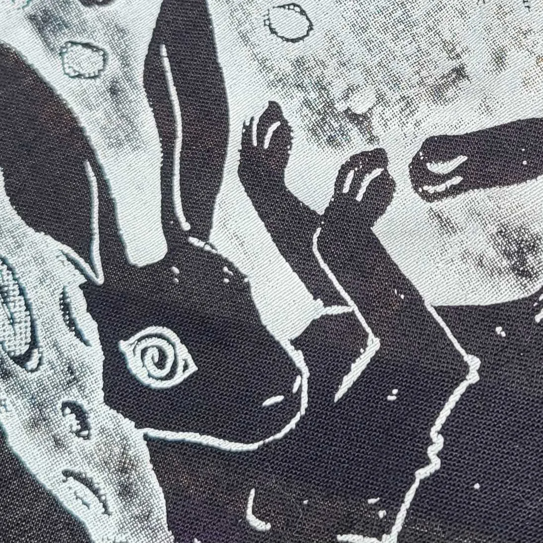 lucicat@app.wafrn.net