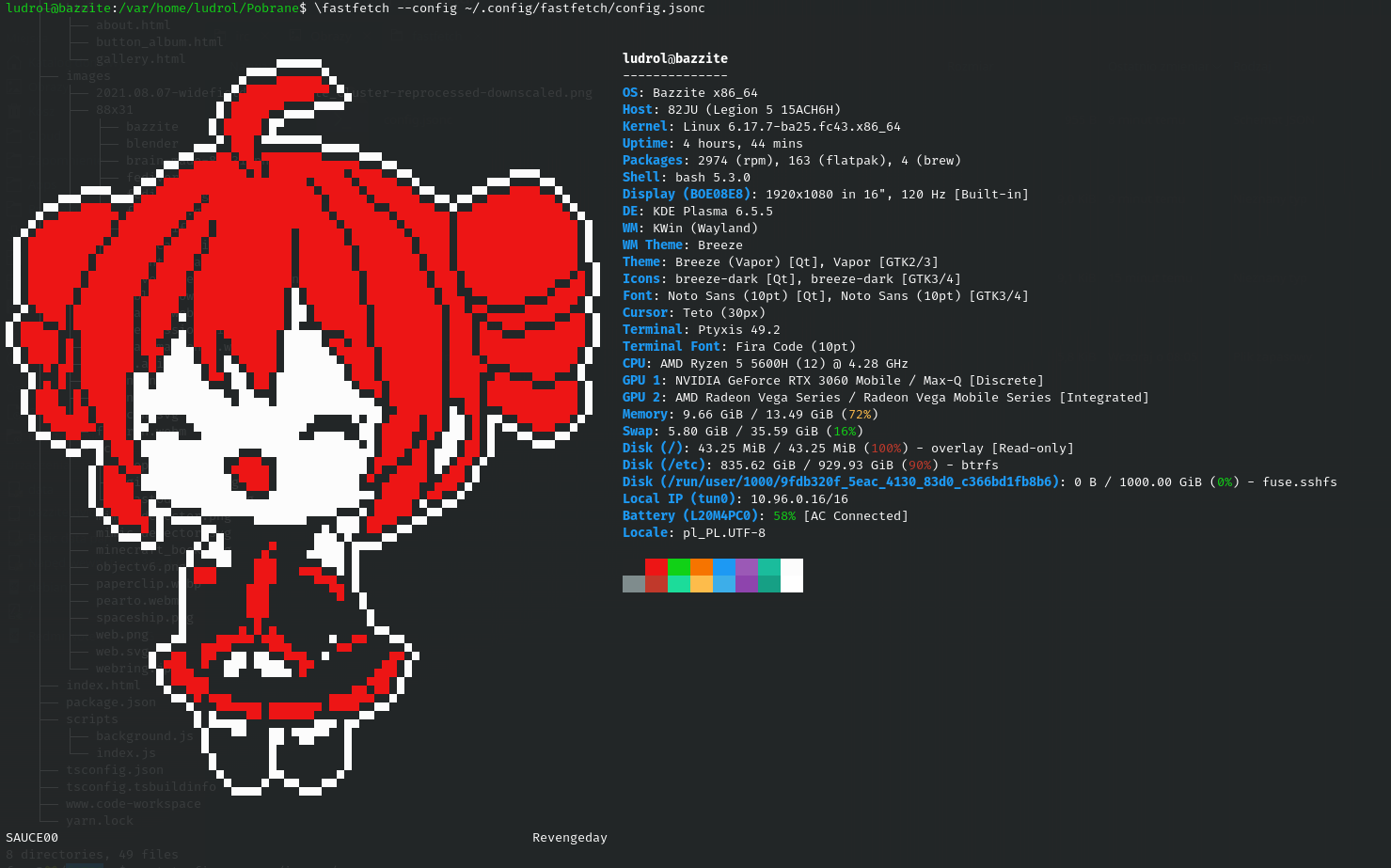 teto ansi art inside the fastfetch