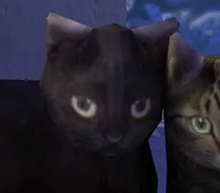 systemdeez 🐈‍⬛🏳️‍🌈