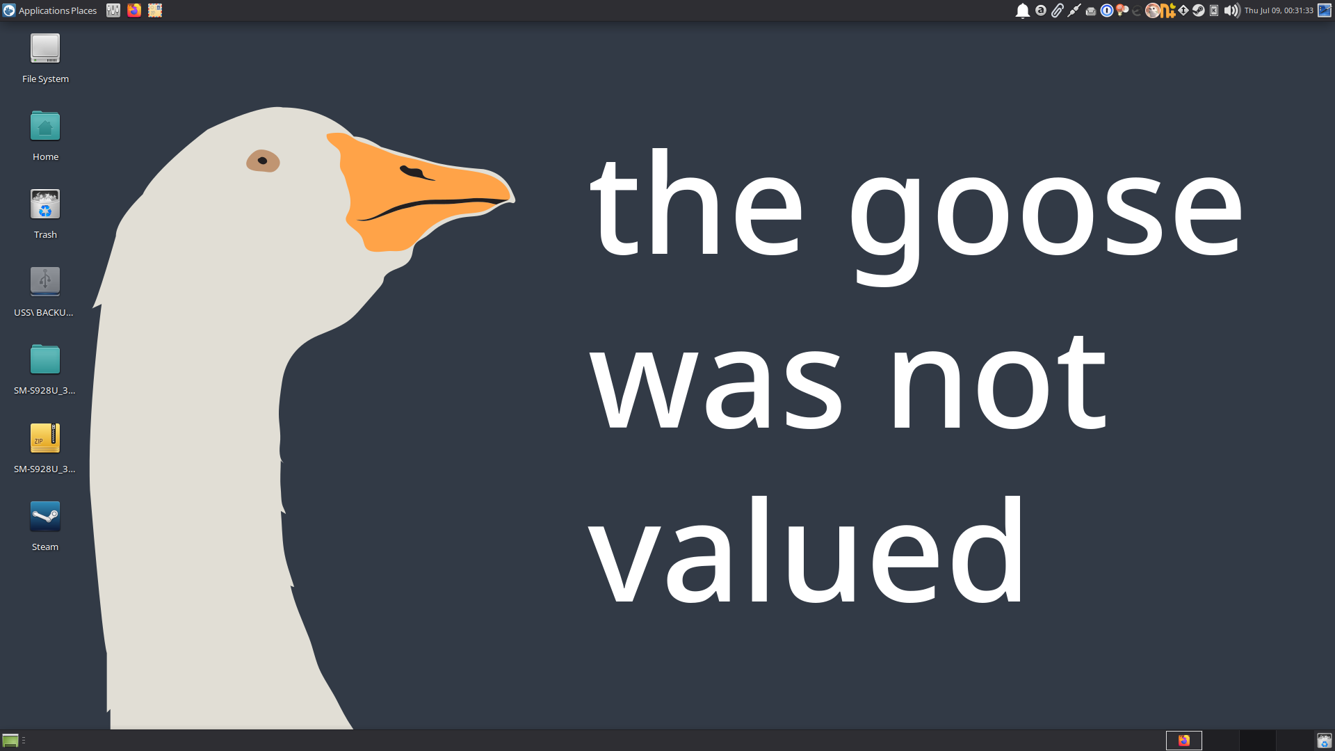 Screenshot of my Xfce desktop. The wallpaper says "the goose was not valued".