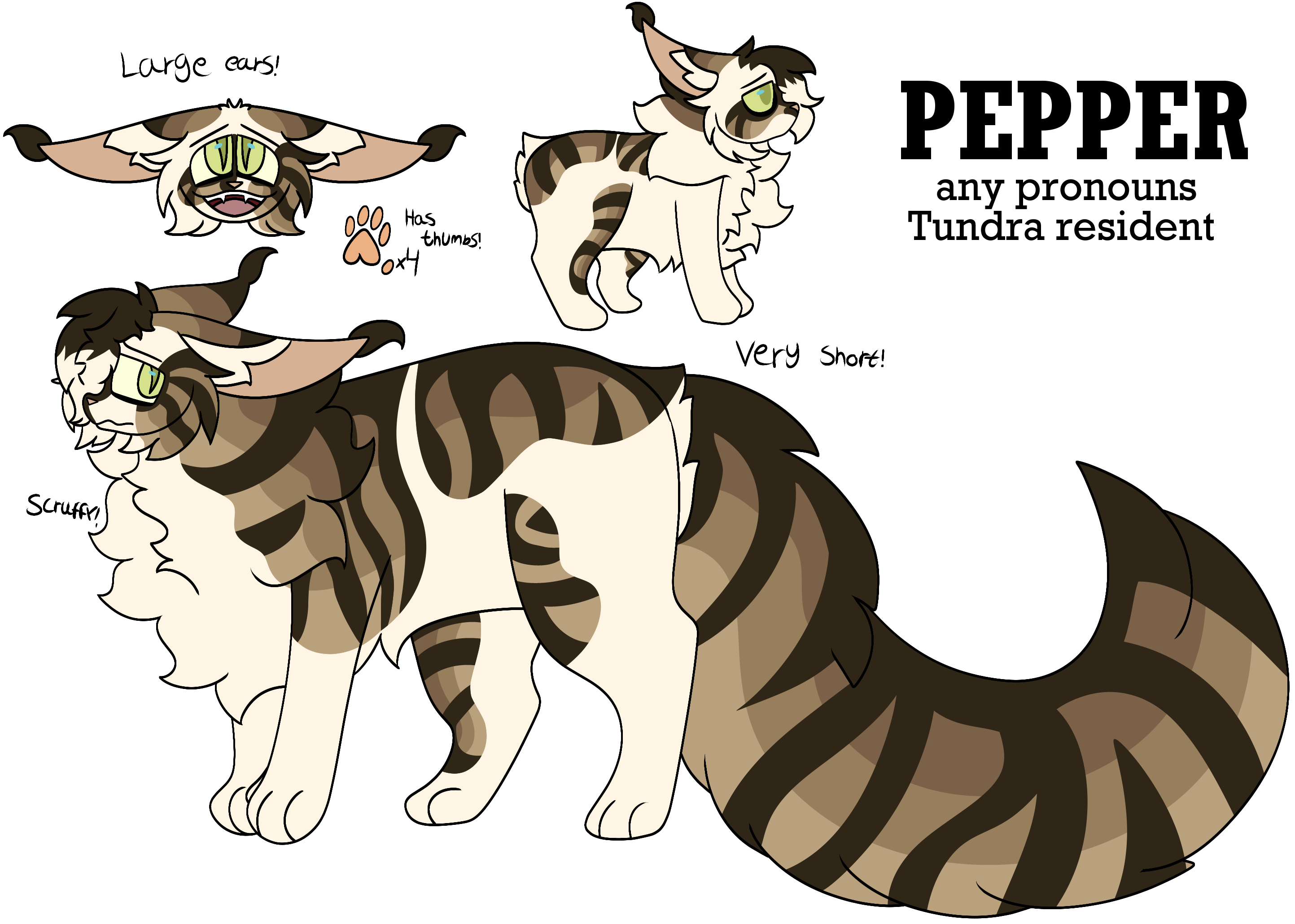 Reference for a feral feline, tabby feline with high white spotting on most of their body. Very fluffy and short, has an emo bang covering one eye. Name is Pepper, any pronouns, residence is Tundra